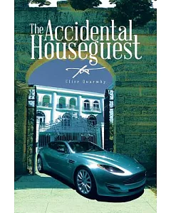 The Accidental Houseguest
