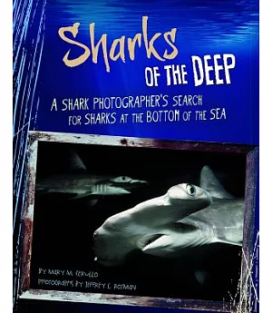 Sharks of the Deep: A Shark Photographer’s Search for Sharks at the Bottom of the Sea