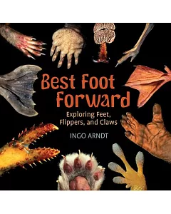 Best Foot Forward: Exploring Feet, Flippers, and Claws