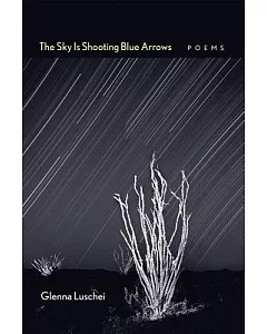 The Sky Is Shooting Blue Arrows: Poems