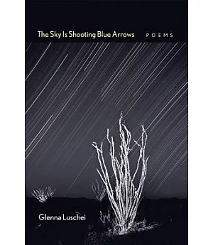 The Sky Is Shooting Blue Arrows: Poems