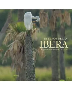 Esteros del Ibera / Ibera Wetlands: The Great Wetlands of Argentina