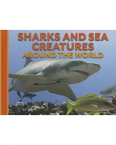 Sharks and Sea Creatures Around the World