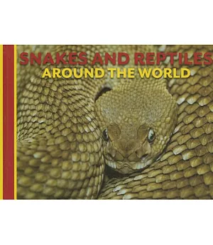 Snakes and Reptiles Around the World