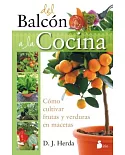 Del balcon a la cocina / From the Balcony to the Kitchen: Como Cultivar Frutas Y Verduras En Macetas