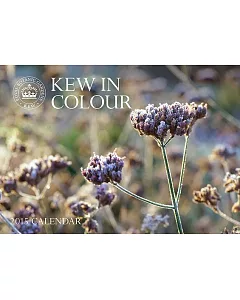 Kew in Colour 2015 Calendar: The Royal Botanical Gardens