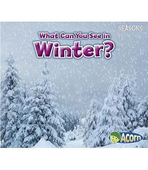 What Can You See in Winter?