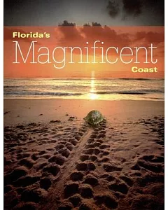 Florida’s Magnificent Coast