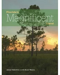 Florida’s Magnificent Land
