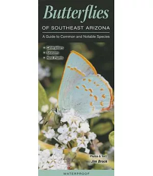 Butterflies of Southeast Arizona: A Guide to Common and Notable Species