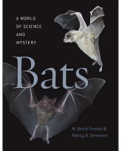 Bats: A World of Science and Mystery