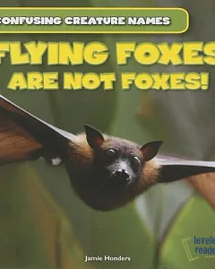 Flying Foxes Are Not Foxes!