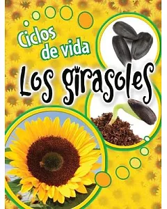 Ciclos de vida los girasoles / Life Cycles of Sunflowers