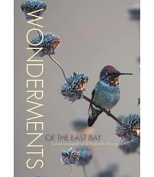 Wonderments of the East Bay