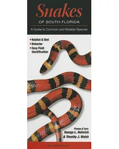 Snakes of South Florida: A Guide to Common and Notable Species