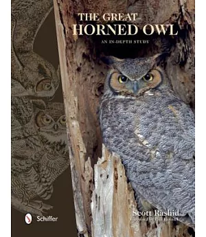 The Great Horned Owl: An In-Depth Study