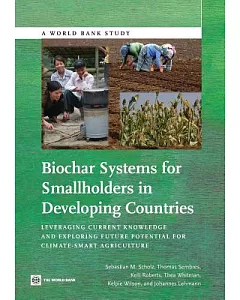 Biochar Systems for Smallholders in Developing Countries: Leveraging Current Knowledge and Exploring Future Potential for Climat
