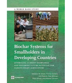 Biochar Systems for Smallholders in Developing Countries: Leveraging Current Knowledge and Exploring Future Potential for Climat