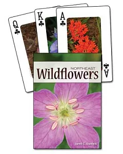 Wildflowers of the Northeast Playing Cards