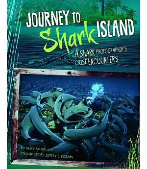 Journey to Shark Island: A Shark Photographer’s Close Encounters