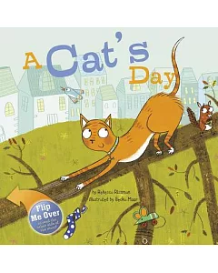 A Cat’s Day