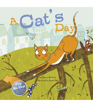 A Cat’s Day