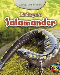 Life Story of a Salamander