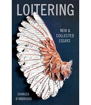 Loitering: New & Collected Essays