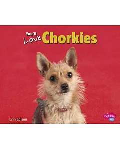 You’ll Love Chorkies