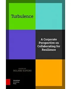 Turbulence: A Corporate Perspective on Collaborating for Resilience