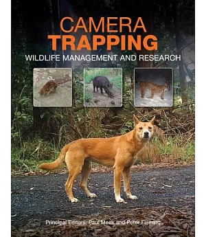 Camera Trapping: Wildlife Management and Research