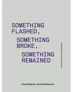 Something Flashed, Something Broke, Something Remained: Consciousness Neue Bieremiennost