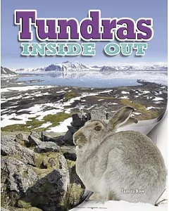 Tundras Inside Out