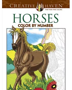 Horses Color by Number Adult Coloring Book