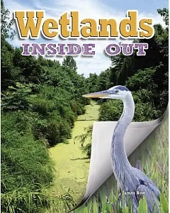 Wetlands Inside Out