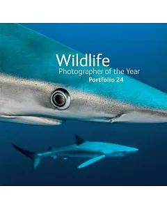 Wildlife Photographer of the Year: Portfolio 24