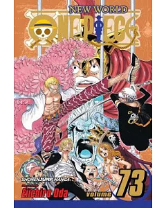 One Piece 73