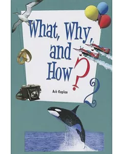 What, Why and How? 2