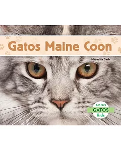 Gatos Maine Coon
