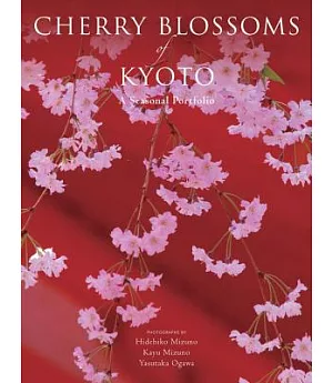 Cherry Blossoms of Kyoto: A Seasonal Portfolio