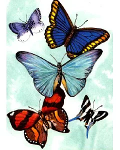 Butterfly Notebook