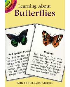 Learning About Butterflies