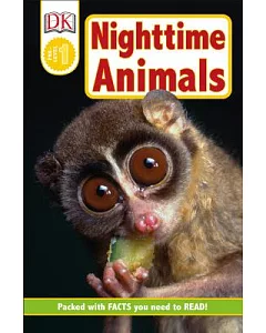 Nighttime Animals