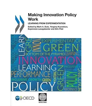 Making Innovation Policy Work: Learning from Experimentation