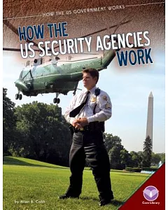 How the Us Security Agencies Work