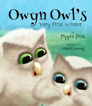 Owyn Owl’s: Very First Winter