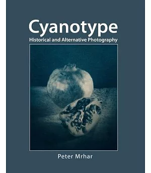 Cyanotype: Historical and Alternative Photography