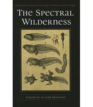 The Spectral Wilderness
