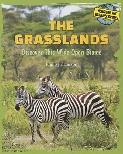 The Grasslands: Discover This Wide Open Biome