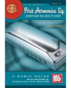 First Harmonica Gig: Everything You Need to Know: A Basic Guide